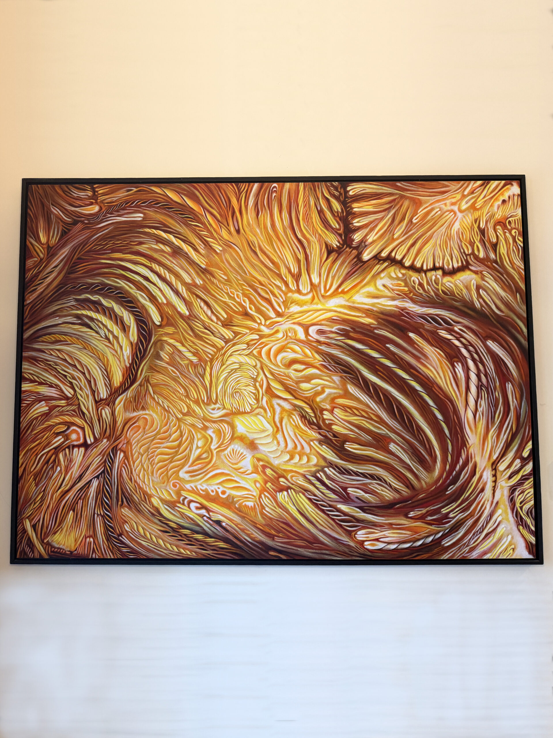 Plasma Flows