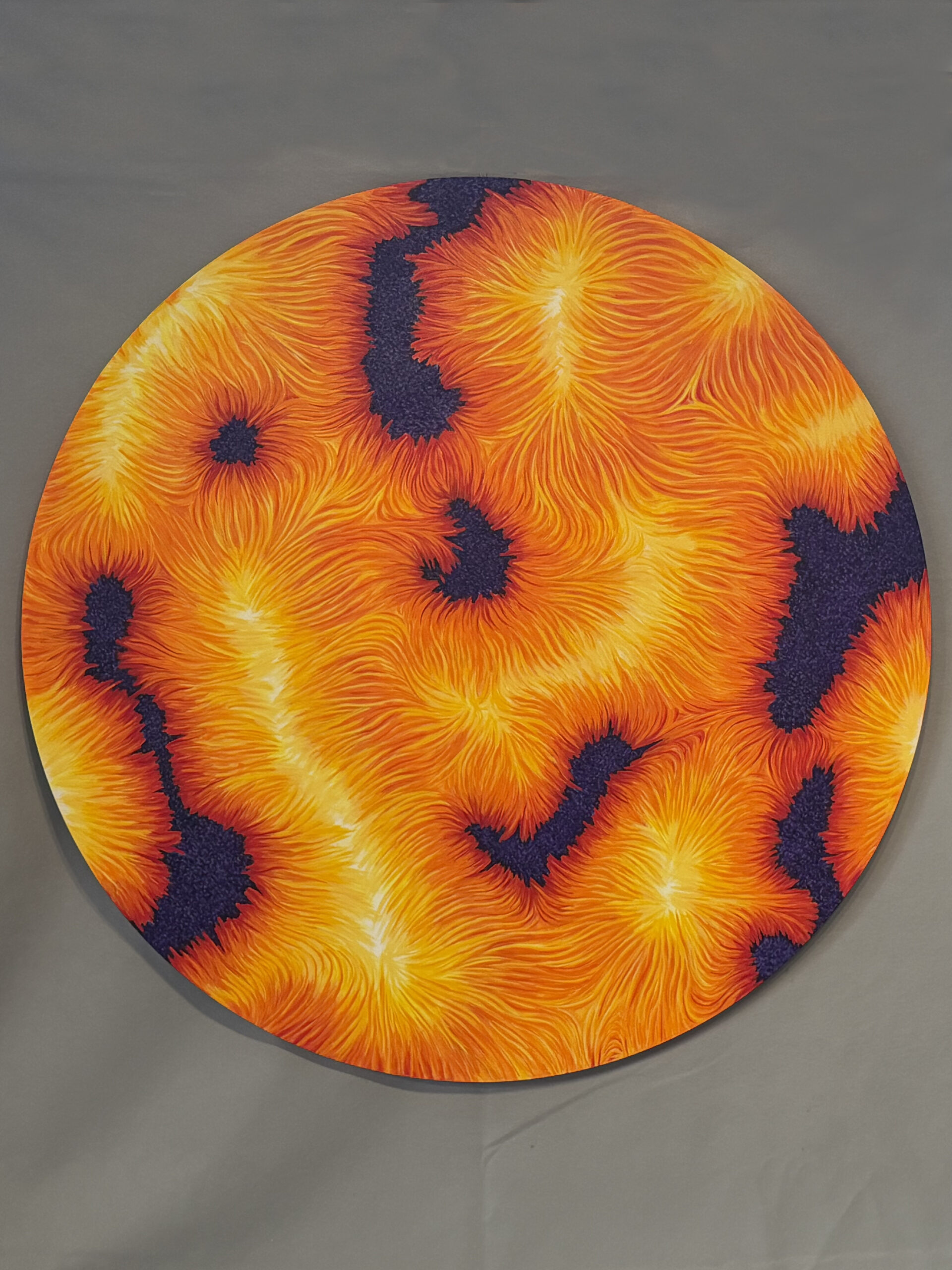 Solar Flows