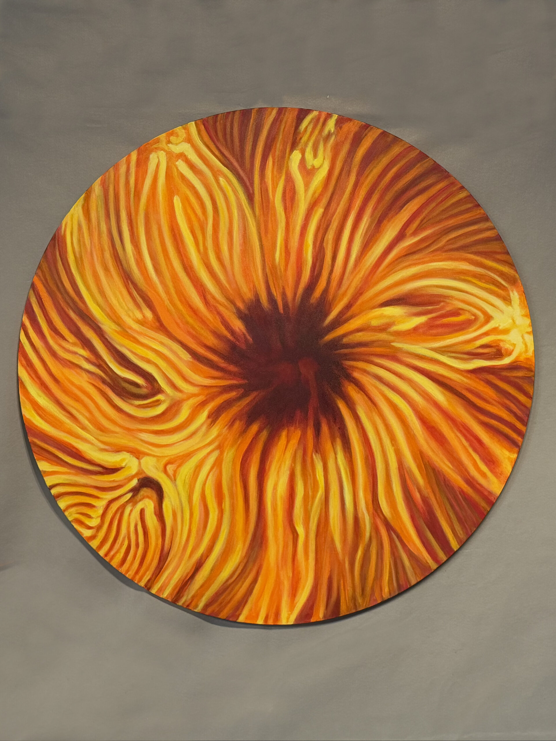 Sun Series 11-14