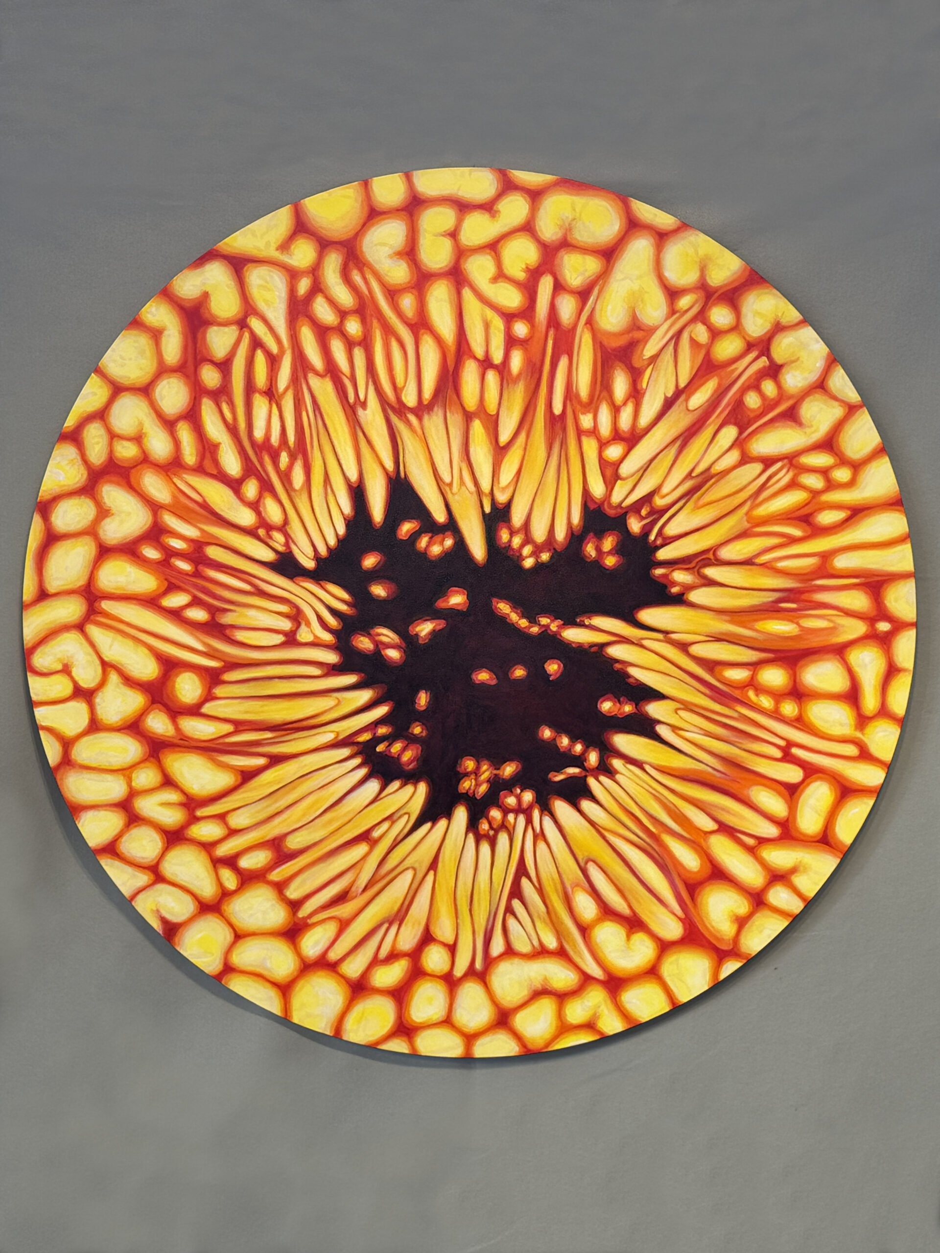 Sun Series 12-13