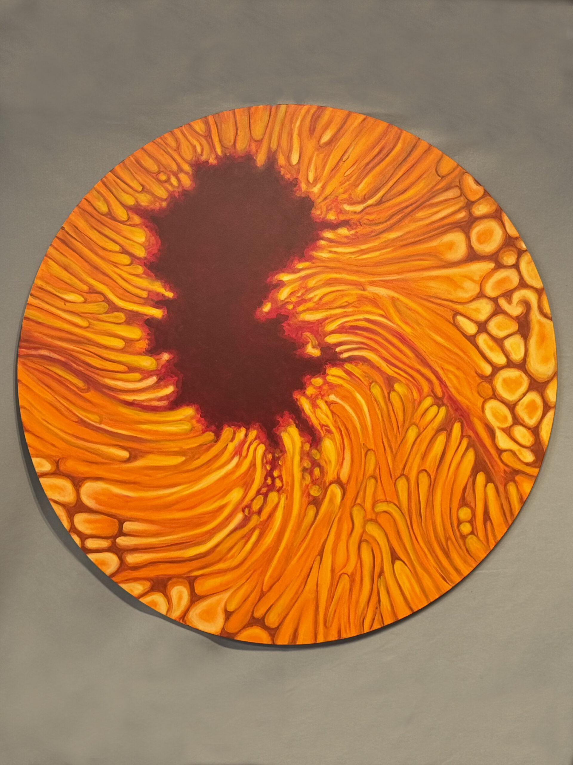 Sun Series 11-13