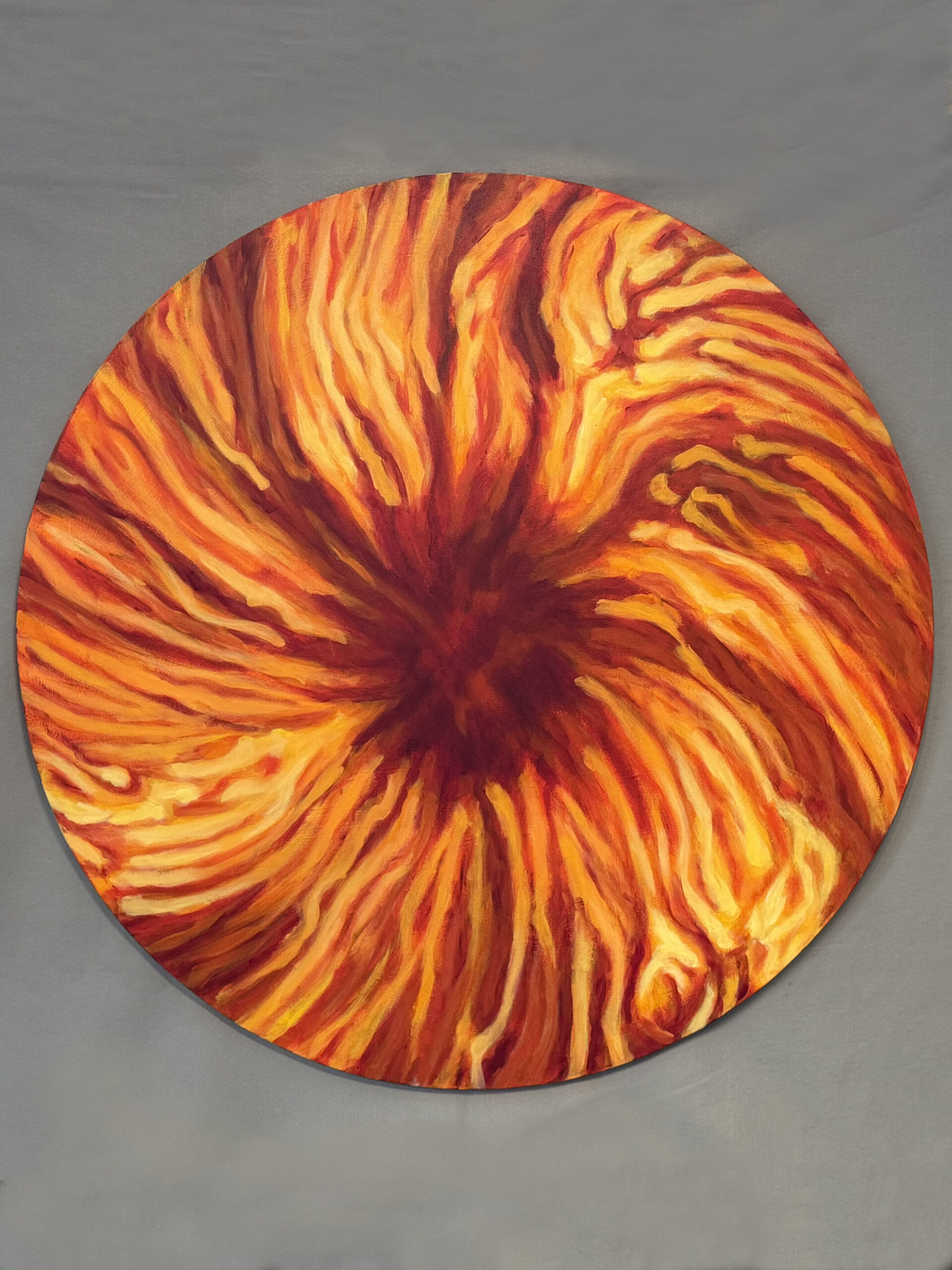 Sun Series 13-14